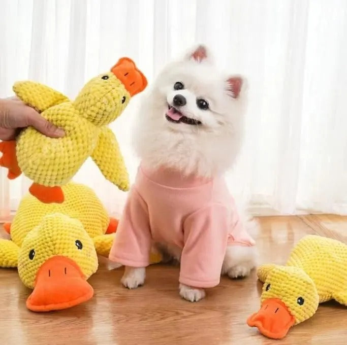 Stuffed Squeaky Plush Dog Toy