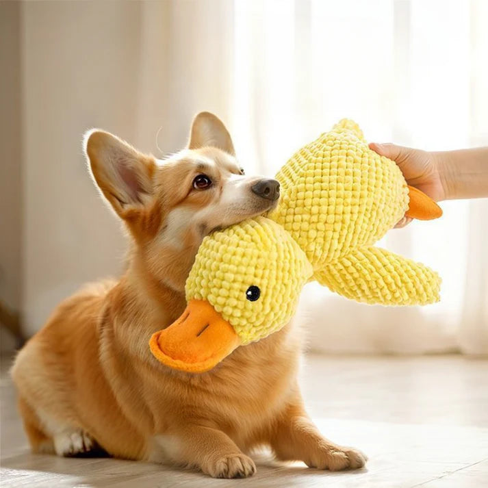 Stuffed Squeaky Plush Dog Toy